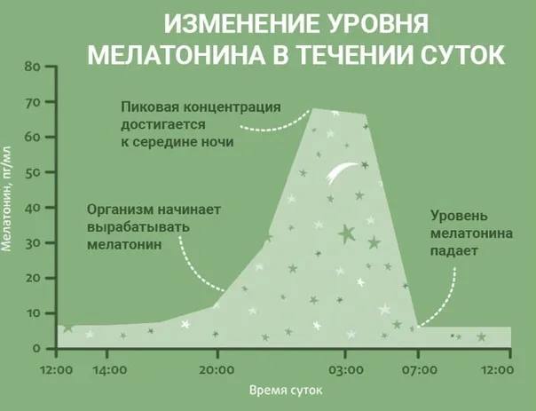 График выработки мелатонина в течение суток с пиками и спадами