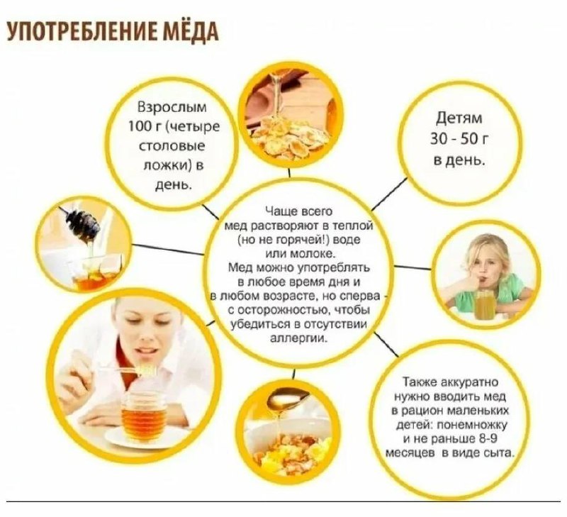 Правильные и неправильные способы употребления меда